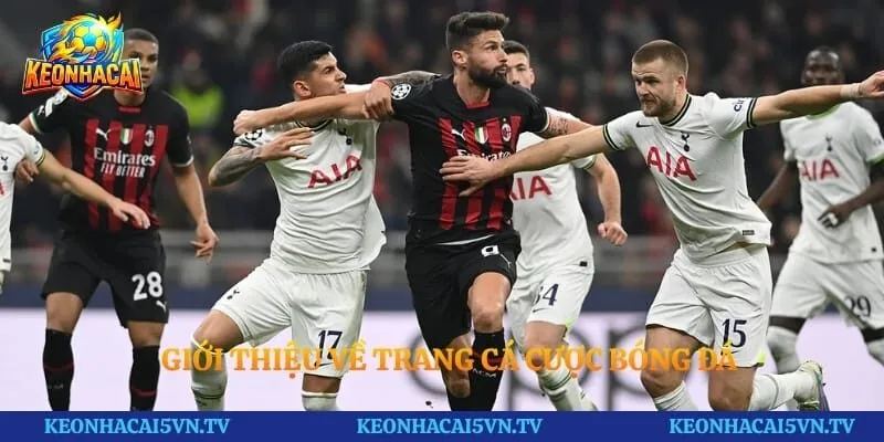 Giới thiệu về trang cá cược bóng đá
