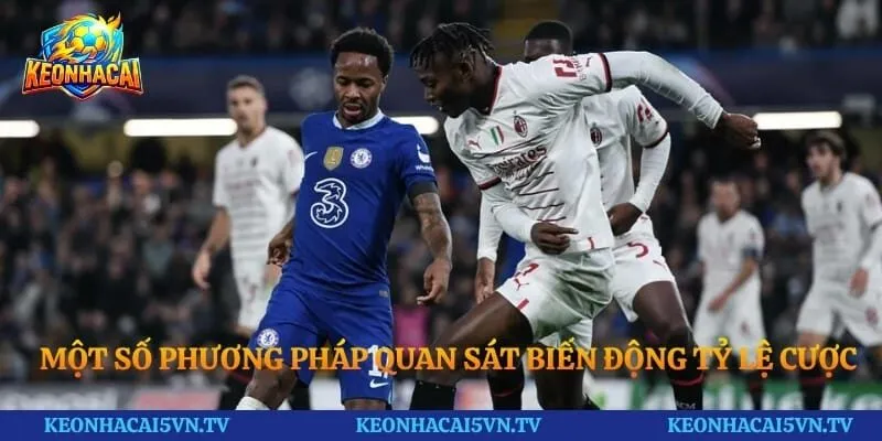 Một số phương pháp quan sát biến động tỷ lệ cược