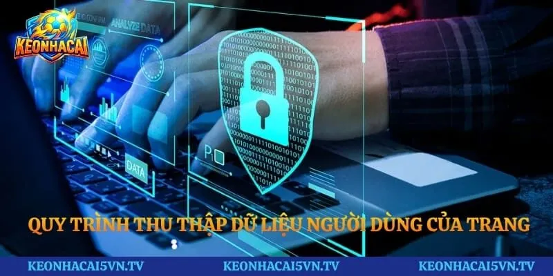 Quy trình thu thập dữ liệu người dùng của trang thể thao