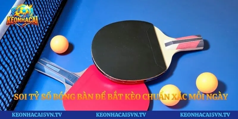 Soi tỷ số bóng bàn để bắt kèo chuẩn xác mỗi ngày