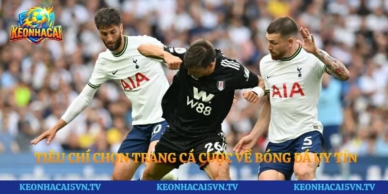 Tiêu chí chọn trang cá cược về bóng đá uy tín và chất lượng