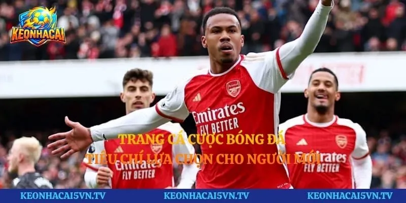 Trang Cá Cược Bóng Đá - Tiêu Chí Lựa Chọn Cho Người Mới