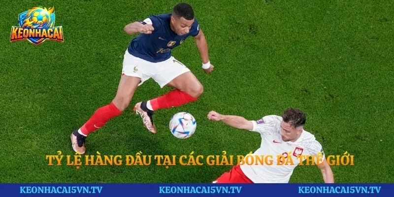 Tỷ lệ hàng đầu tại các giải bóng đá thế giới