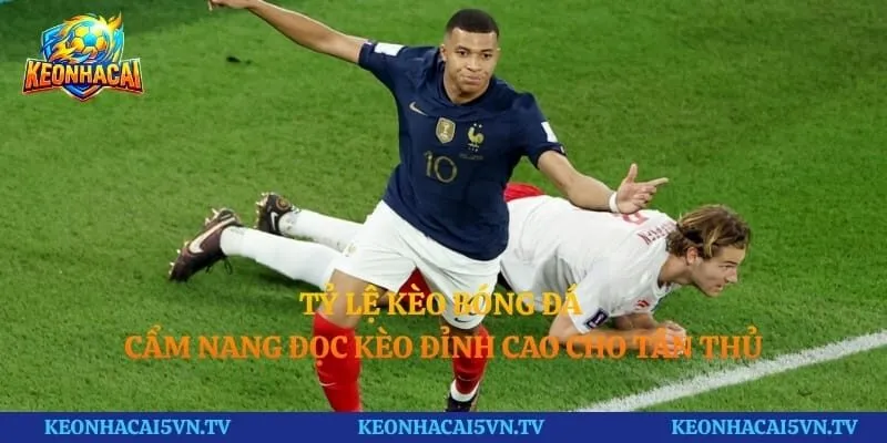Tỷ Lệ Kèo Bóng Đá - Cẩm Nang Đọc Kèo Đỉnh Cao Cho Tân Thủ